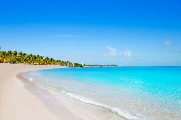 Excursión privada a Cayo Hueso
