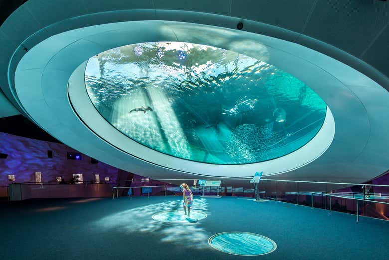 El museo cuenta con un acuario de tres niveles