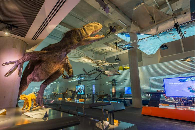 Exposición del Museo de la Ciencia de Miami