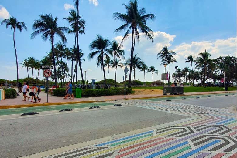 Las emblemáticas palmeras de Miami Beach