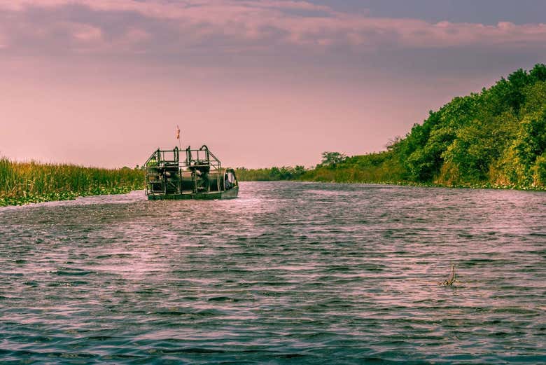 Panorámica de un aerodeslizador en los Everglades