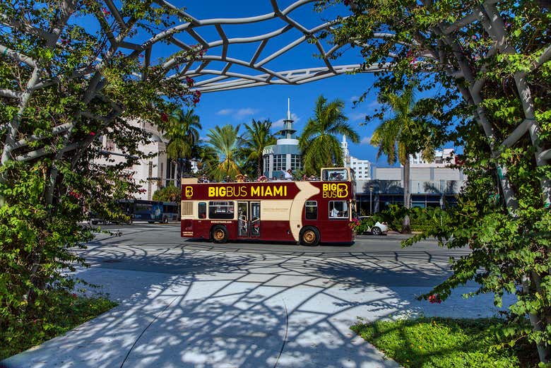 Autobús turístico de Miami, Big Bus Miami Disfruta Miami